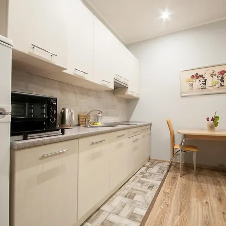 Wonderful Flat On Center * Uzjhorod