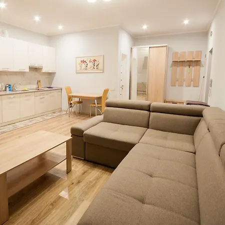 Wonderful Flat On Center Uzjhorod