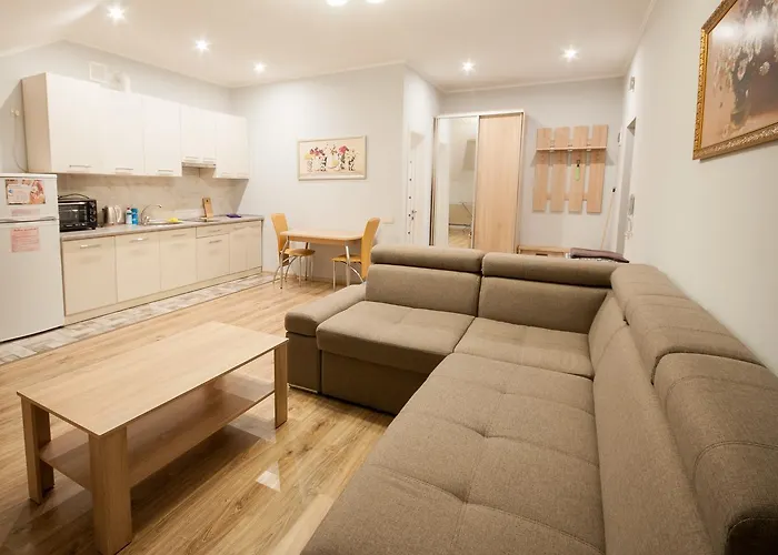 Wonderful Flat On Center Uzhhorod