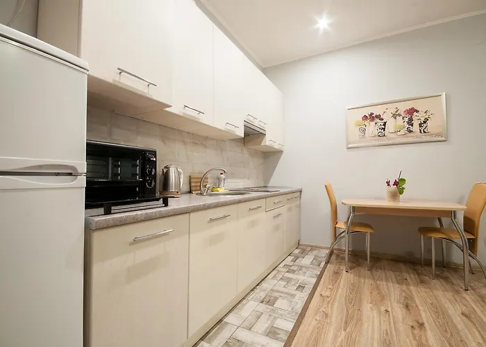 Wonderful Flat On Center * Uzjhorod